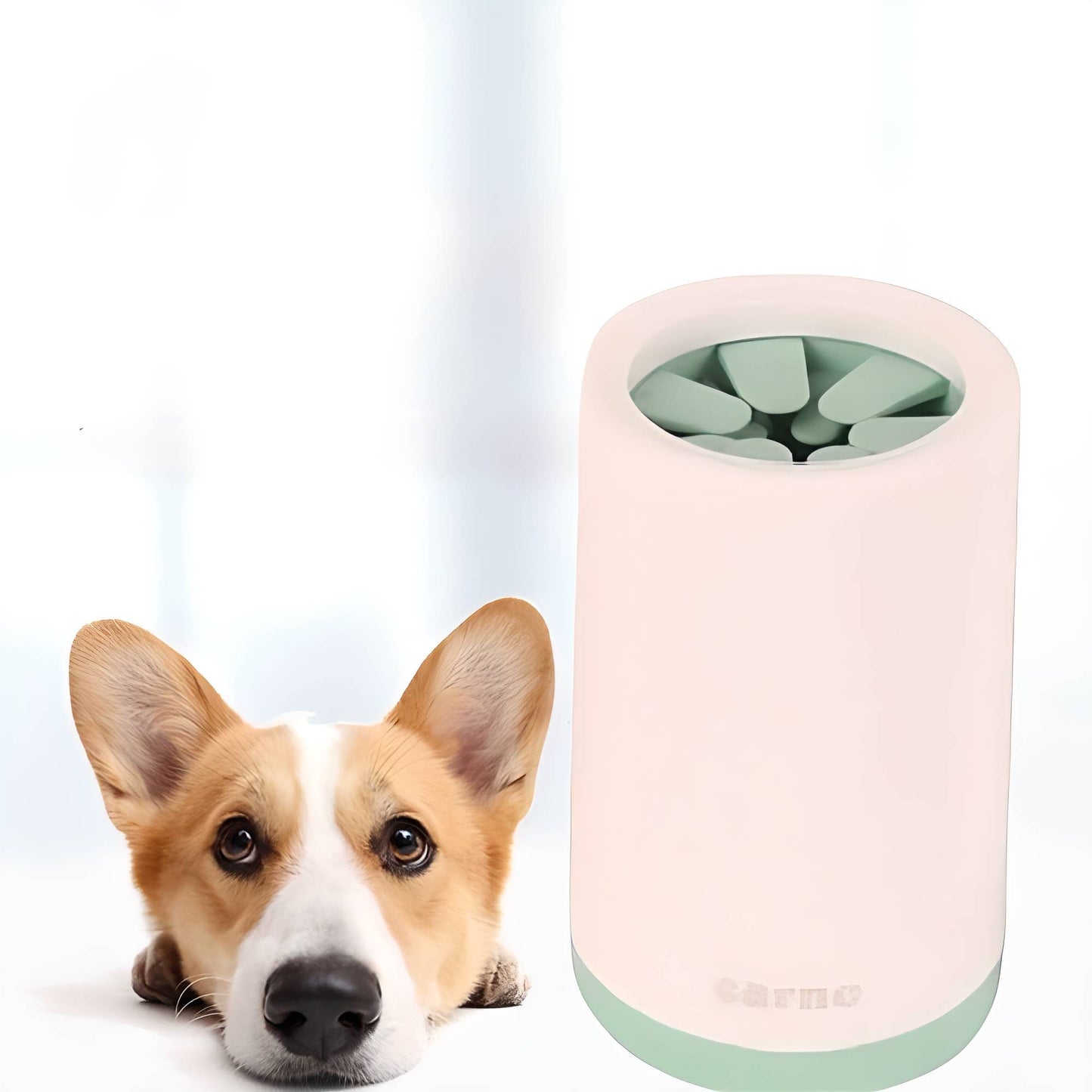 PawClean