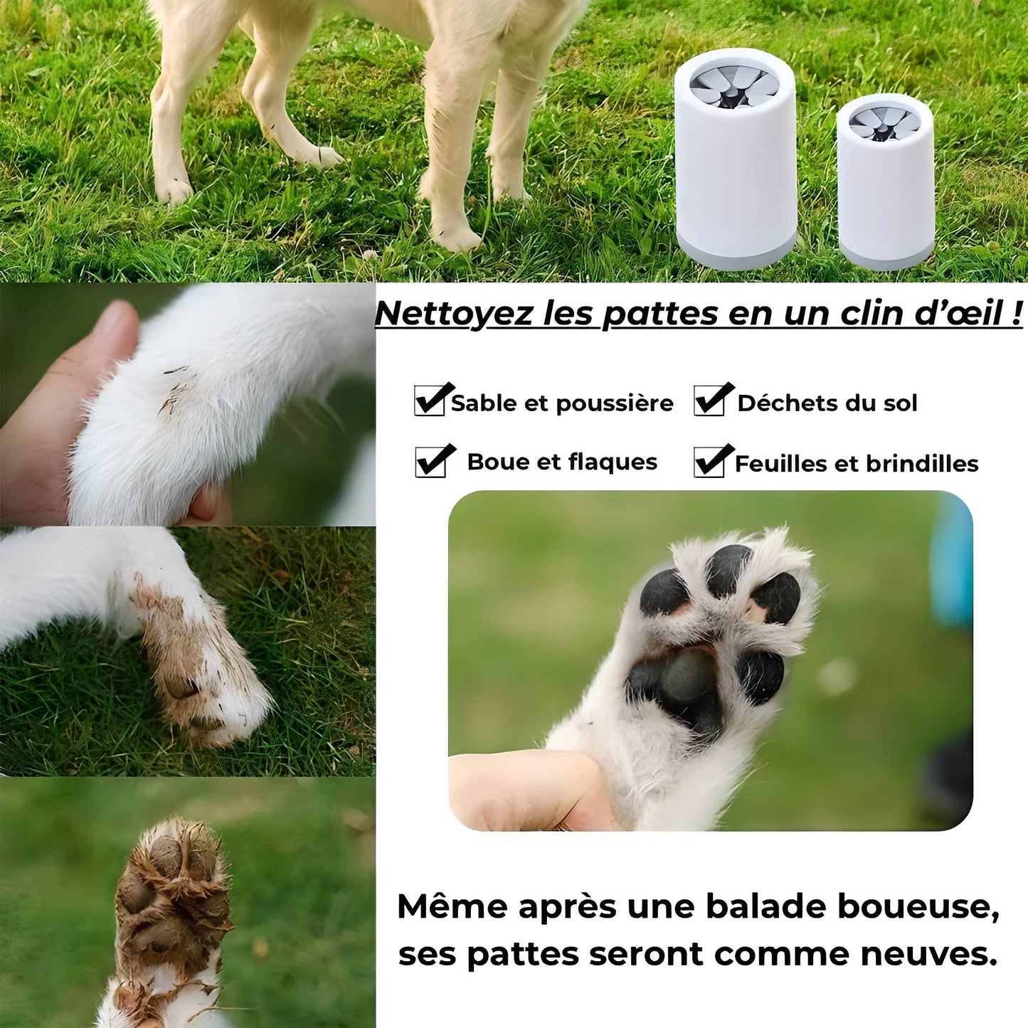 PawClean