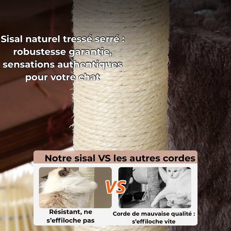 Nid de Velours