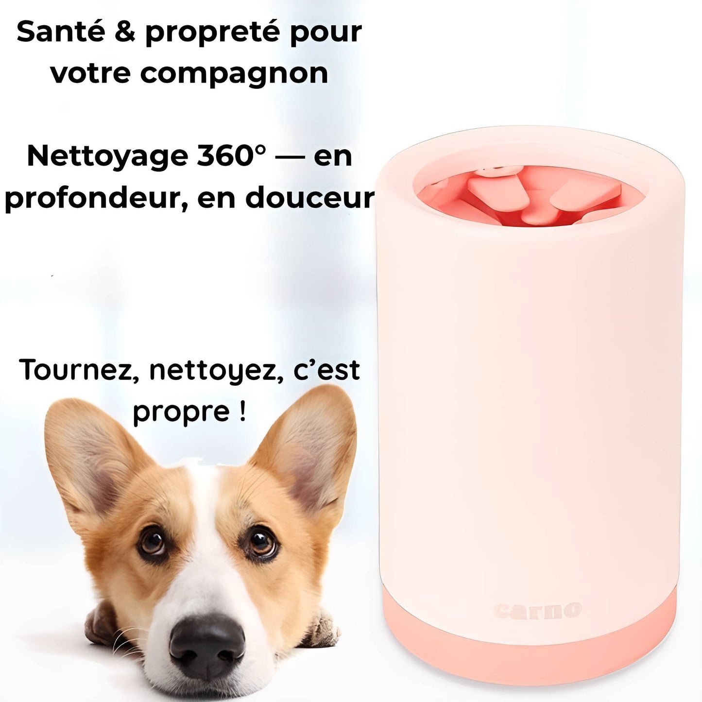 PawClean