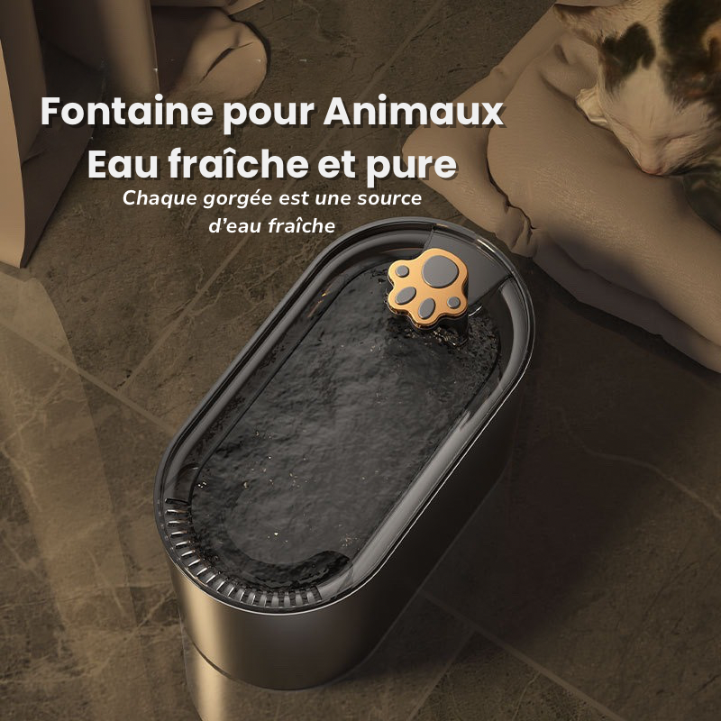Smart Foutain