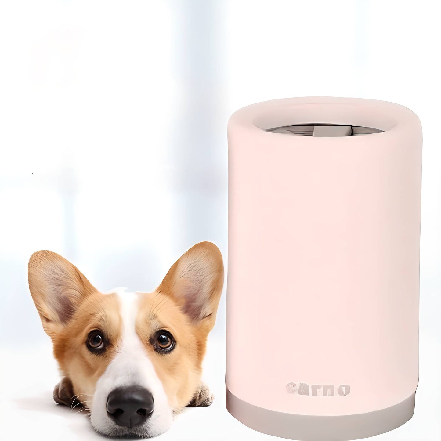 PawClean